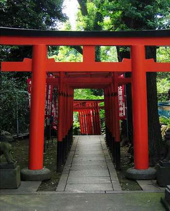 稻荷神社里的狐狸