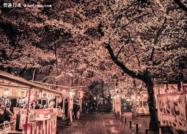 一大波旅行团靠近 拿好秘籍避开人潮去日本赏樱花