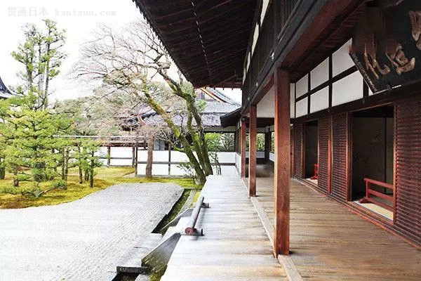 一大波旅行团靠近 拿好秘籍避开人潮去日本赏樱花